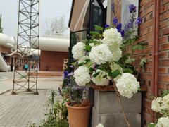-将府公园