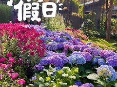 -荔湾湖公园