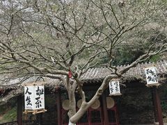 -团城山公园