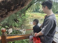 -星湖旅游景区七星岩