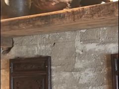 -江湖六膳門串串香(隆礼路店)