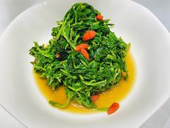 拌野菜-双公羊·馕坑烤全羊(奥体店)