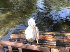 -济南野生动物世界
