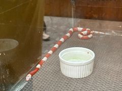 -上海大自然野生昆虫馆