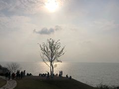 -悦锦轩中餐厅·宴会(合肥滨湖乐富强嘉悦大酒店)