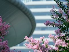 -杭州城北体育公园