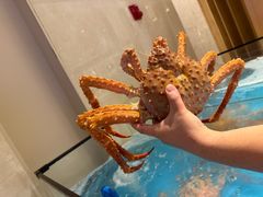 -亚特兰蒂斯-番红花海鲜自助餐厅·鲜活海鲜·小火锅