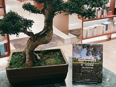 -二酉书店TOYOU BOOKS