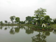 -鹅湖玫瑰文化园