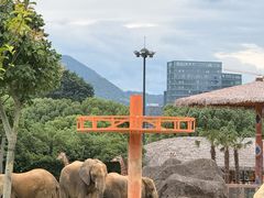 -杭州野生动物世界