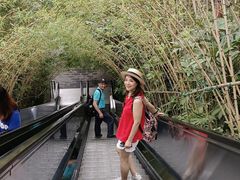 -天河潭旅游度假区