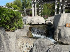 -百花洲