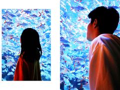 -成都浩海立方海洋公园