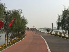 -武清南湖绿博园