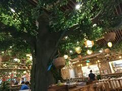 -乡村小灶(先锋岛店)