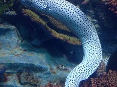 -泉州海丝野生动物世界