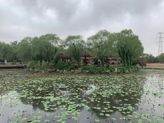 -尚庄度假村·庭台树下·户外烧烤·团建CS·轰趴营地(上庄水库店)