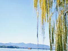 -杭州西湖柳莺里酒店