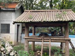 -石家庄市动物园