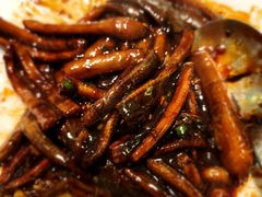 -蝶园·装修中(BFC外滩金融中心店)