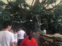 -杭州浪浪浪水公园