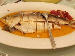 清蒸鲥鱼-老洋房花园饭店(绍兴路店)
