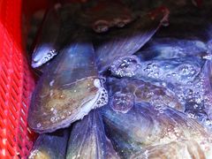 -巽寮印象美食部落餐厅·海鲜·地方特色菜(惠州体验店)