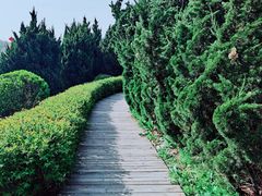 -棒棰岛宾馆景区