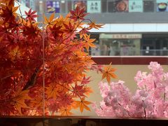 -江渔儿酸菜鱼(奥园广场金发购物中心店)