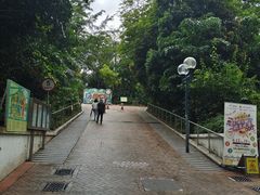 -九龙公园