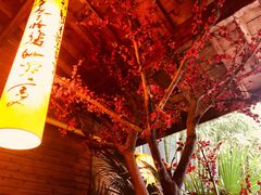 -西安国际创新人才交流中心•药浴温泉