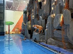 -兴芮温泉度假区