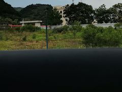 -河口景区