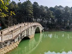 -铁山坪森林公园