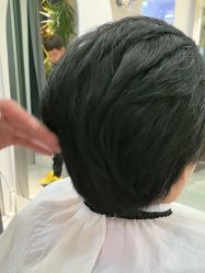 -爱维丽