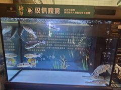 -肆月河豚·淮扬菜·湘菜(华天店)