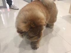 -骐奇宠物诊疗中心(南亭公路店)