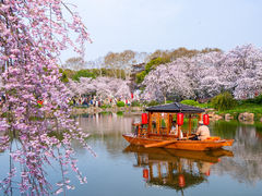 -东湖磨山景区