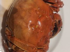 -假装苏杭·园林餐厅(陆家嘴中心店)
