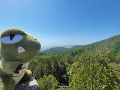 -阳台山自然风景区