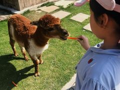 -太阳岛度假酒店