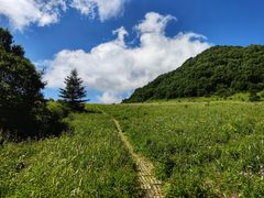-白草畔自然风景区