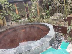-仁爱团泊湖温泉中心