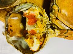 -黄记大闸蟹专卖店·活蟹·醉蟹