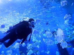 -波塞冬海底世界