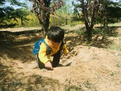 -永定河休闲森林公园