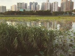 -龙环葡韵住宅式博物馆
