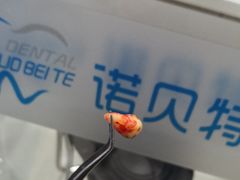 -诺贝川口腔(春都路旗舰店)