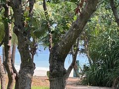 -三亚海棠湾喜来登度假酒店