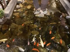 -山有花啡餐厅(常营总店)